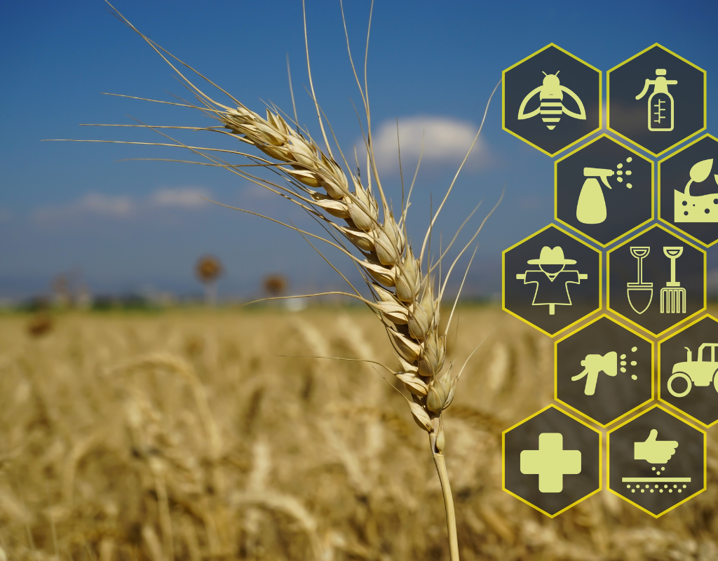 Global Agricultural Export Trends