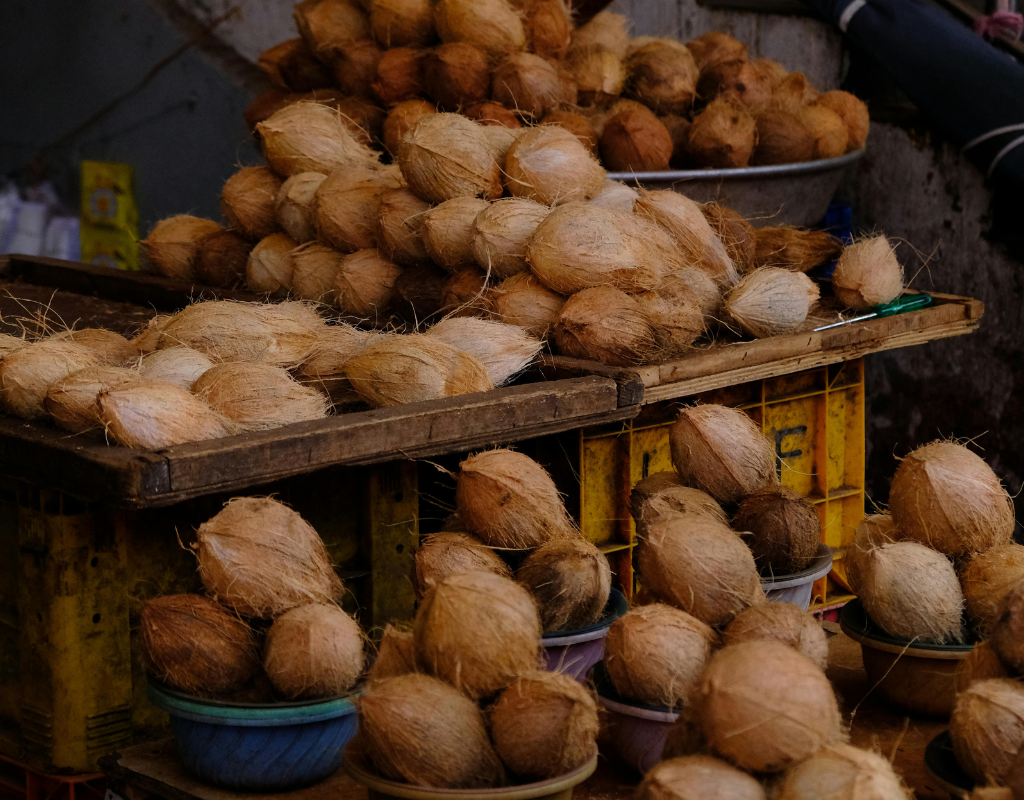 How to Export Coconut from India